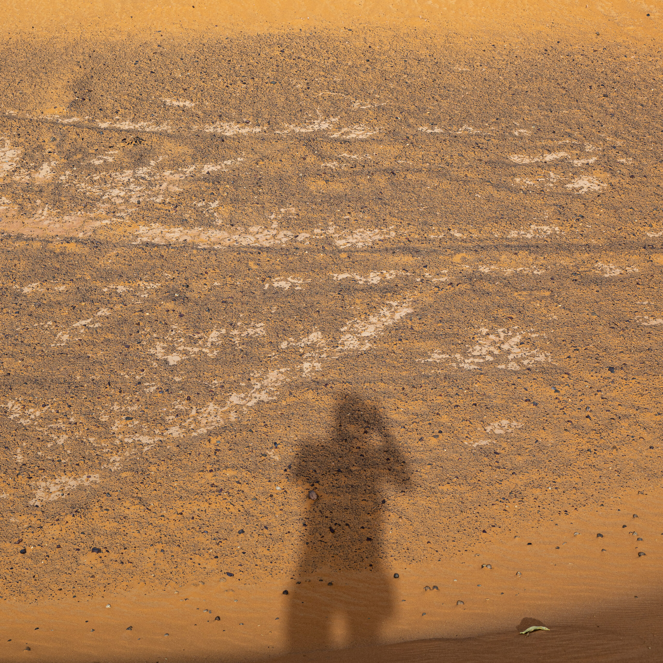 Silhouette van de fotograaf, vanaf een duin in de Sahara woestijn.